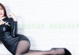 Beautyleg – Roy的肉丝作品集，他的镜头与众不同的遍历！