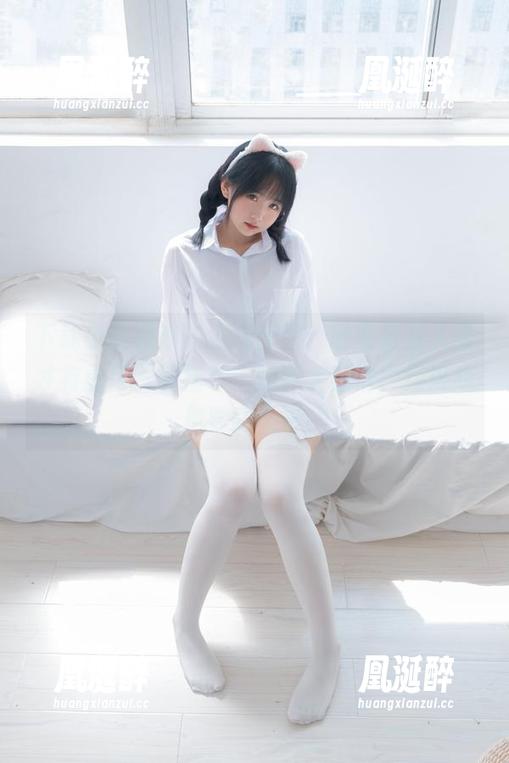 下载少女秩序的猫猫套图，谁说只有人类才有职场？看猫咪们的完美日常，经济趋势要跟上呀！